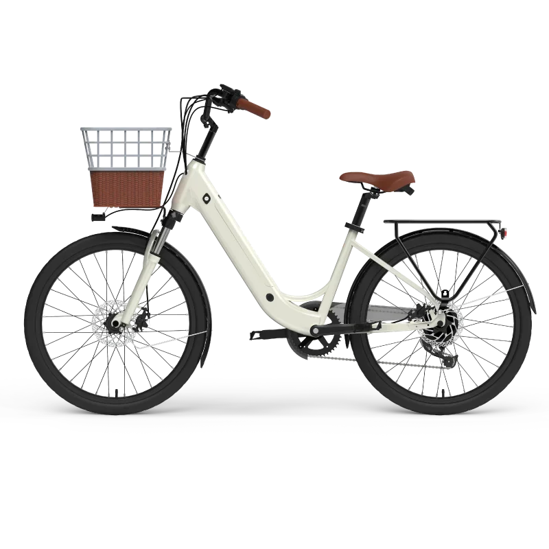 LC01 EZ 24 inch Two Seats Family Cargo e bike Electric City Bike Pedelec