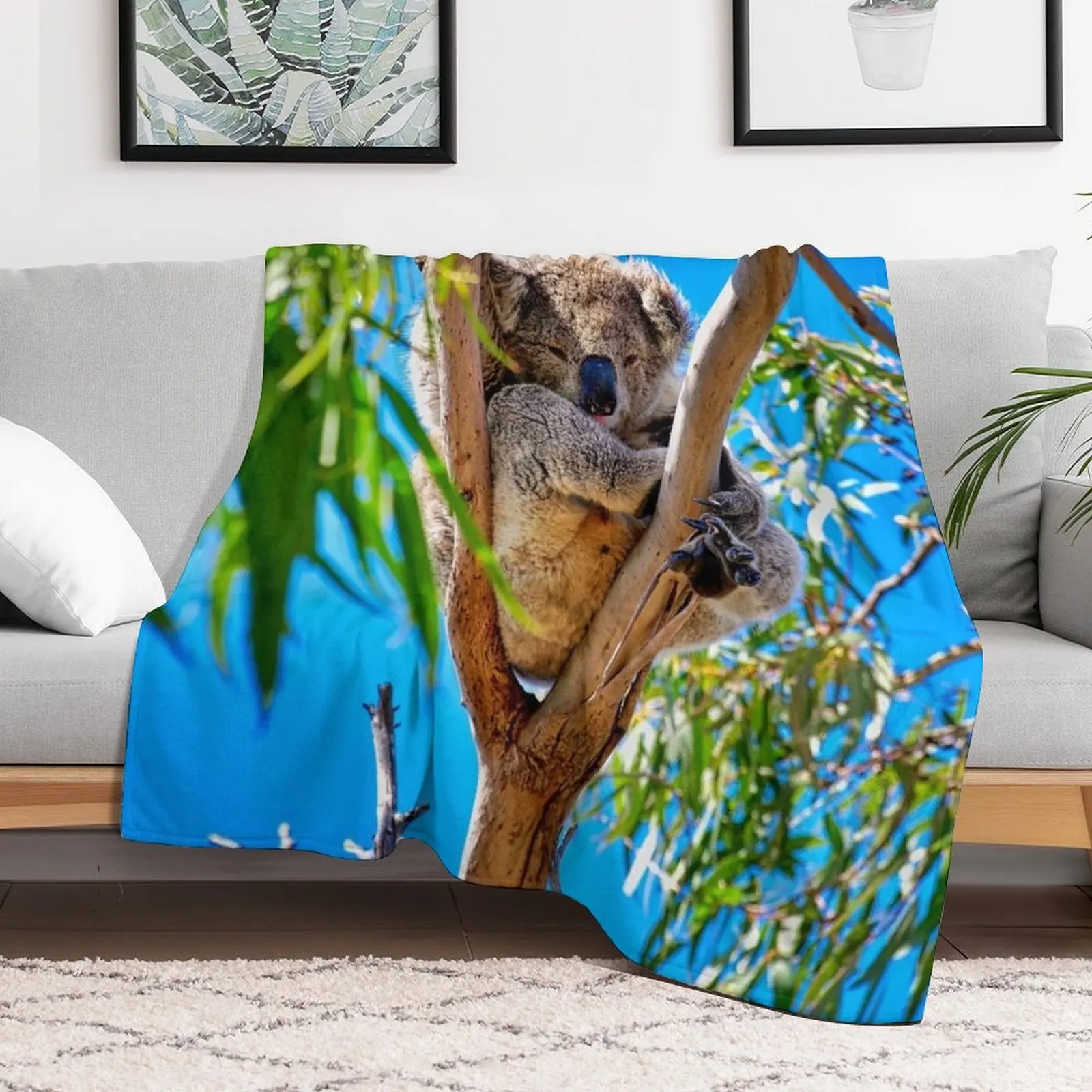 Lovely Australian Koala Bear Throw Blanket for sofa for winter Hairy Blankets