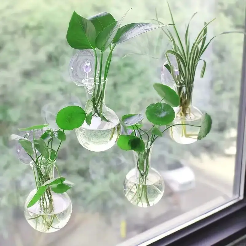 2/4/6/8 Pack Wall Hanging Glass Terrarium - Self-Watering Hydroponic Planter for Home Office Decor, Handmade Round Crystal Vase