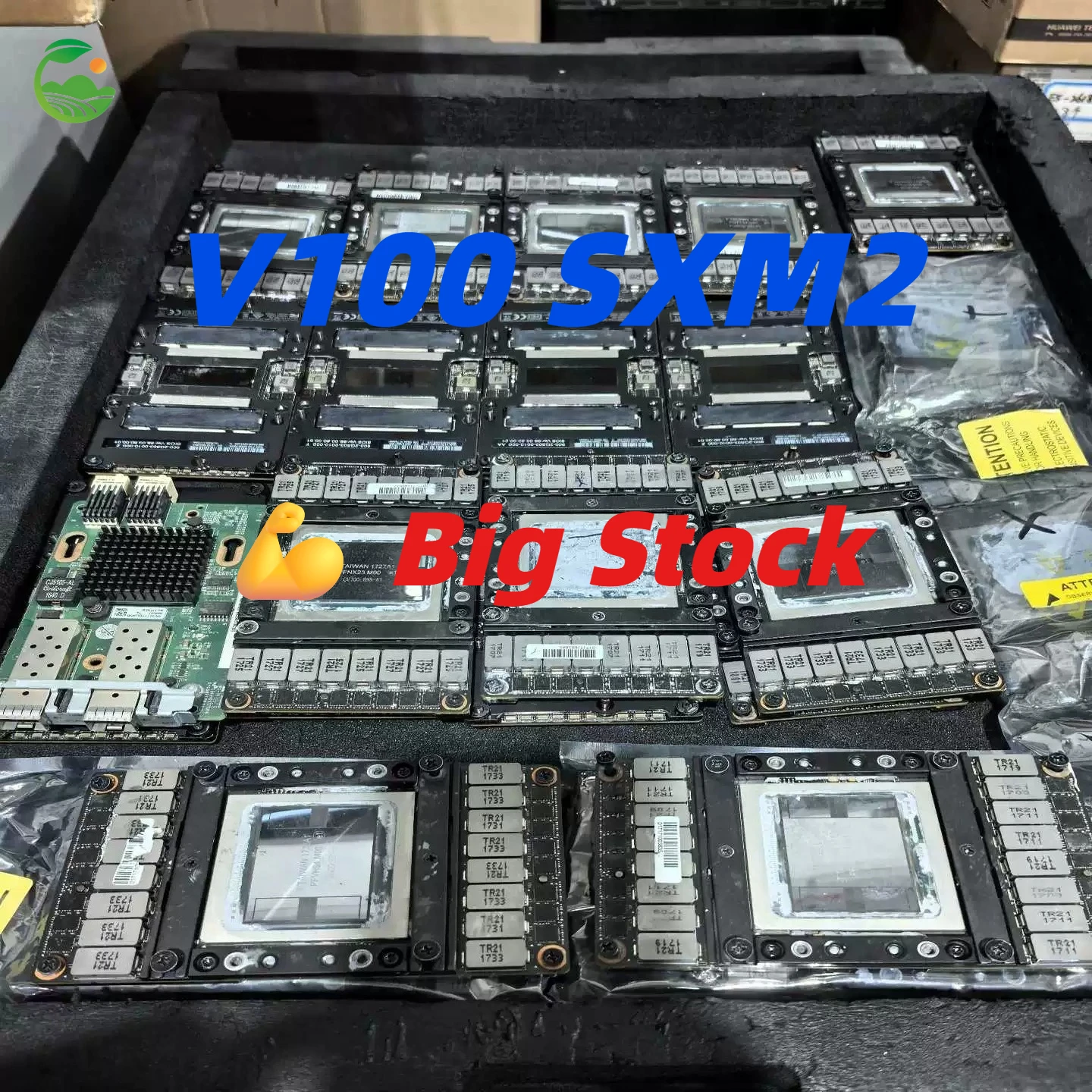 Module GPU V100 SXM2 16 Go/32 Go haute performance et adaptateur PCIe pour l'apprentissage profond de l'IA, le calcul sur serveur HPC, la formation et l'inférence.