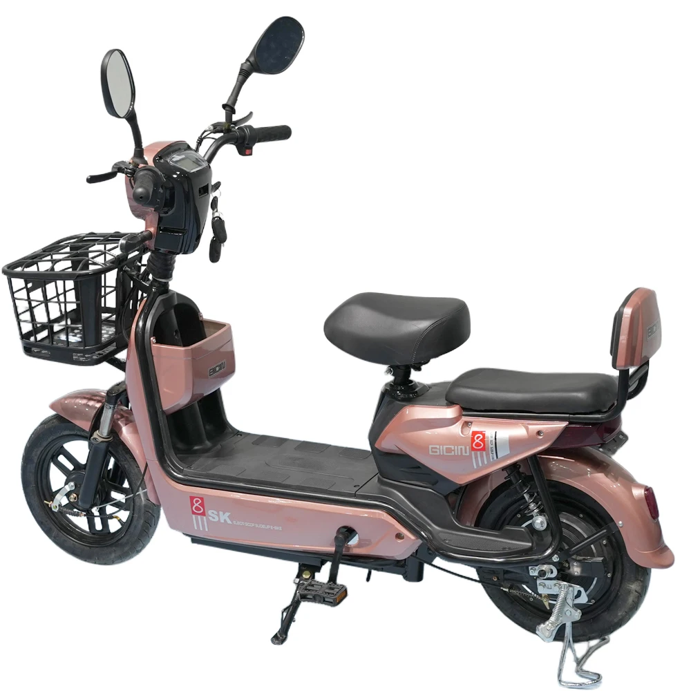 New Pedal Electric Bicycle 48V 3-Speed High-Speed 60km Range Digital Electronic Brushless Motor Ebike