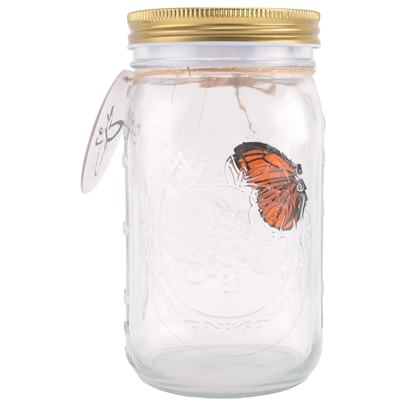 Simulation Butterfly Collection In A Jar, Butterfly Jar That Moves, LED Light Romantic Glass Animated Butterfly Orange Durable