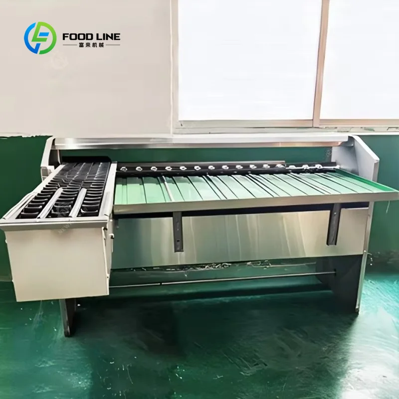 Customized Egg-grader-machine Automatic Egg Grader and Packer Egg Grading Machine Sorting Machine for Egg Processing Factory