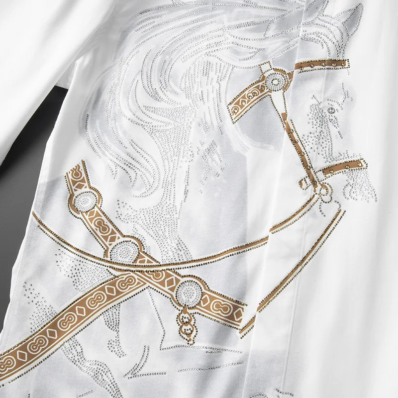 Men's Long Sleeve Shirt with Print And Rhinestones Slim Fit Iron-Free Anti-Wrinkle Casual Male Fashion