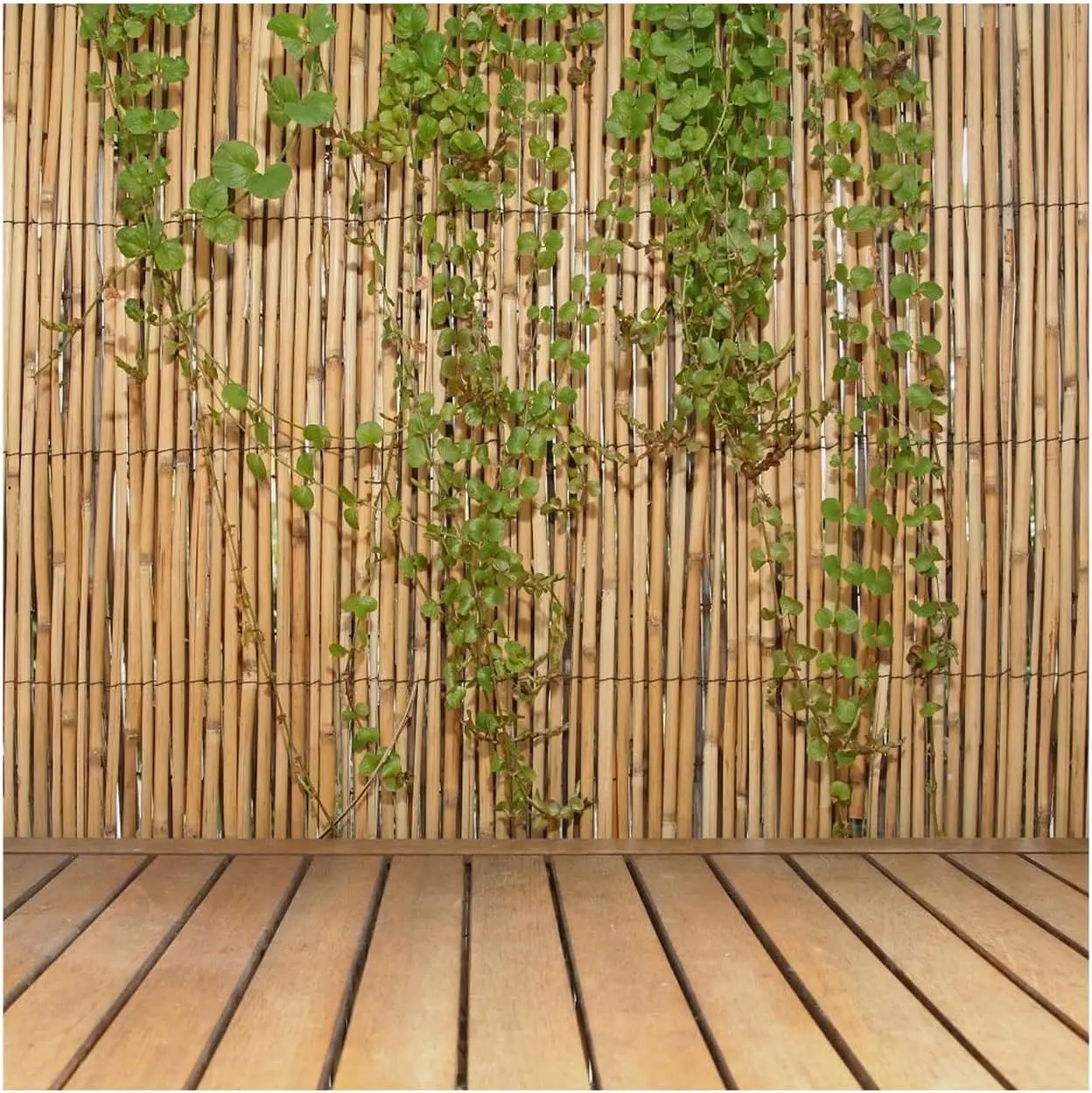 

Jumbo Reed Privacy Fence, Natural Bamboo Screen for Backyard and Garden, 6 ft H x 16 ft L