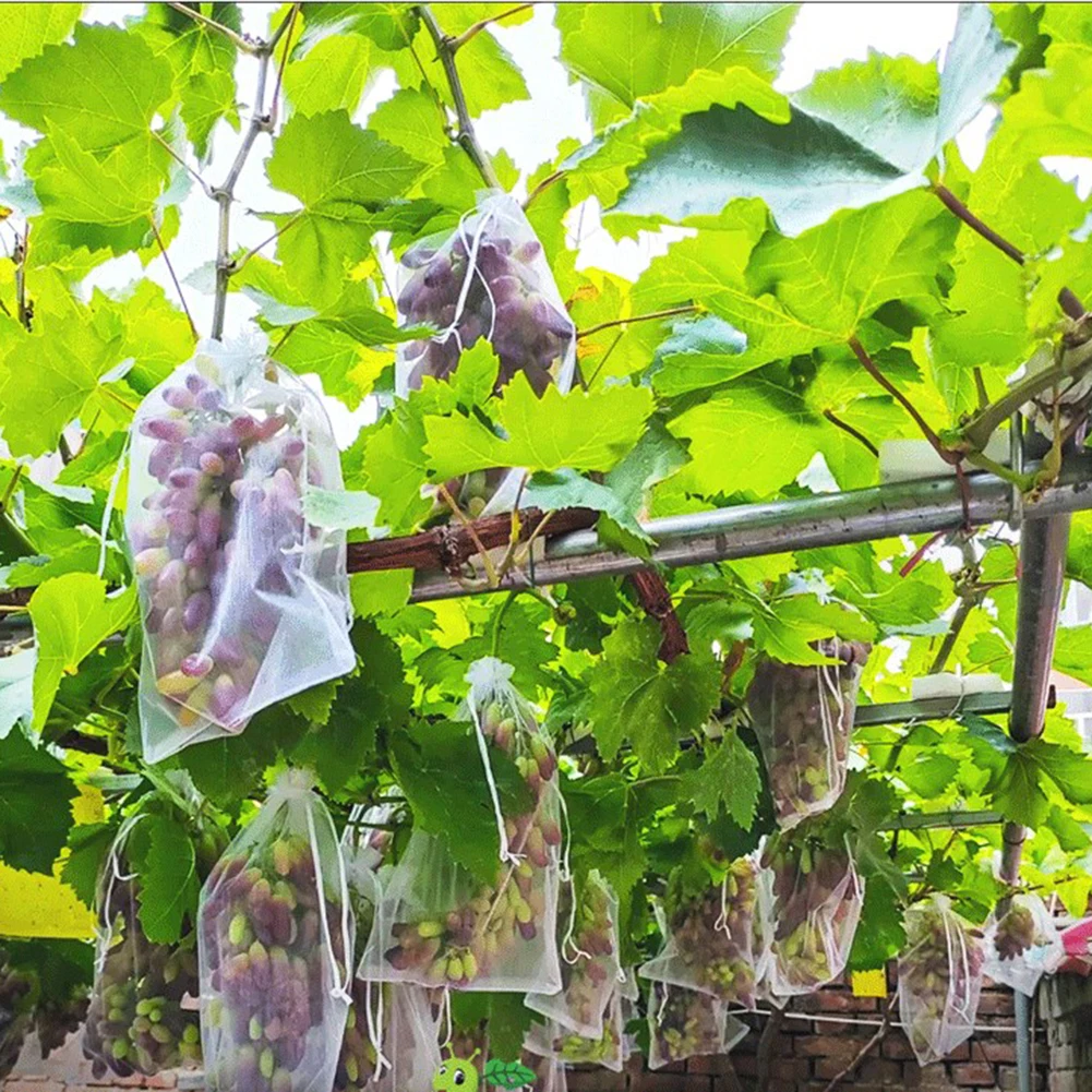 100 Pcs Strawberry Grapes Fruit Grow Bags Netting Mesh Vegetable Plant Protection Bags For Pest Control Anti-Bird Garden Supplie