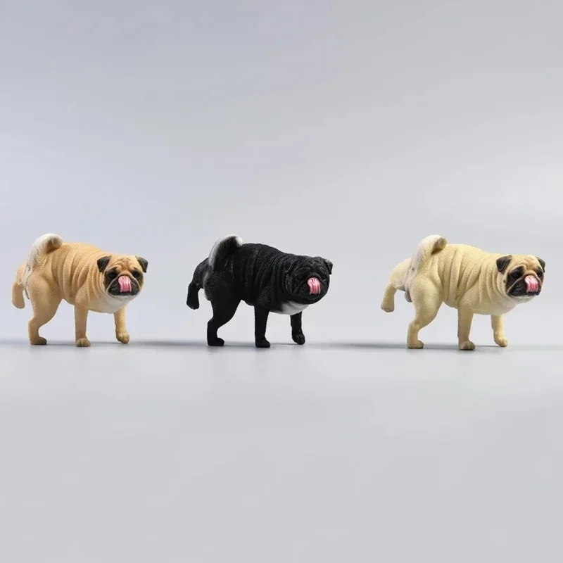 JXK 1/6 Scale ขายก Pug Dog สัตว์ลูกสุนัขเรซิ่นสัตว์เลี้ยงสําหรับ 12in Action Figures อุปกรณ์เสริมเครื่องประดับตลก