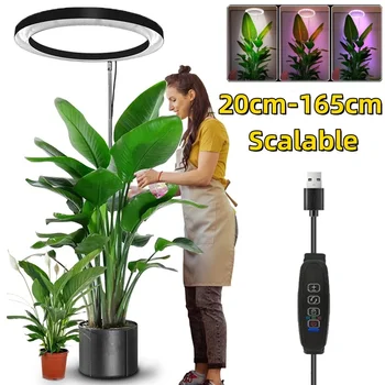 165cm Height Adjustable LED Ring Grow Lights Indoor Plants Full Spectrum Large Plant…