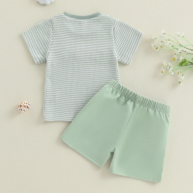 Outfitset voor babyjongens met schattig T-shirt met korte mouwen en dierenborduurwerk en stijlvolle geruite shorts voor de zomer 2-delige set