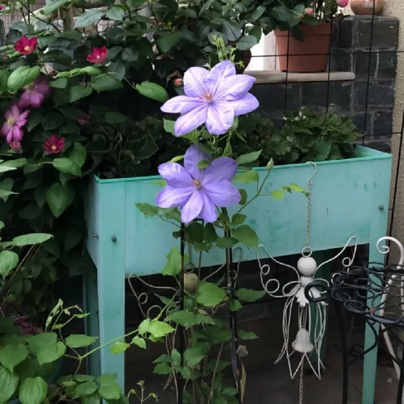 Iron planting bed, garden planting box, vegetable planting box, rectangular flower bed, seedling box, spray galvanized flower be