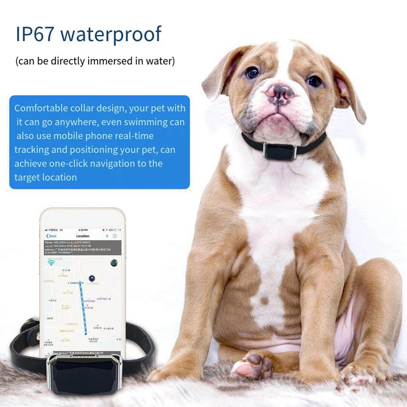 Imagem -04 - Pet Collar Gps Tracker Localizador do Cão Rastreamento em Tempo Real Ip67 Impermeável