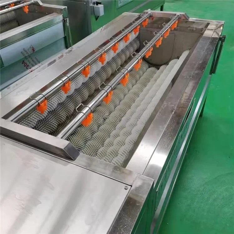 

Dry Vegetable Dragon Fruit Washing Machine Automatic Brush Dates Cleaning Machine for Sale