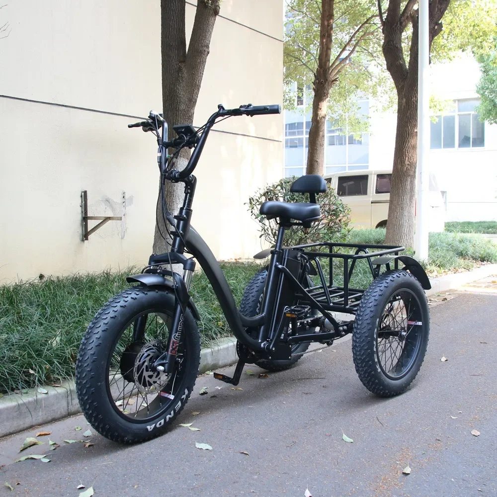 48v 750w OEM ODM 7 Speeds 20Inch E-Tricycle Trishaw Fat Tire Rear Motor Cargo Bike Trailer