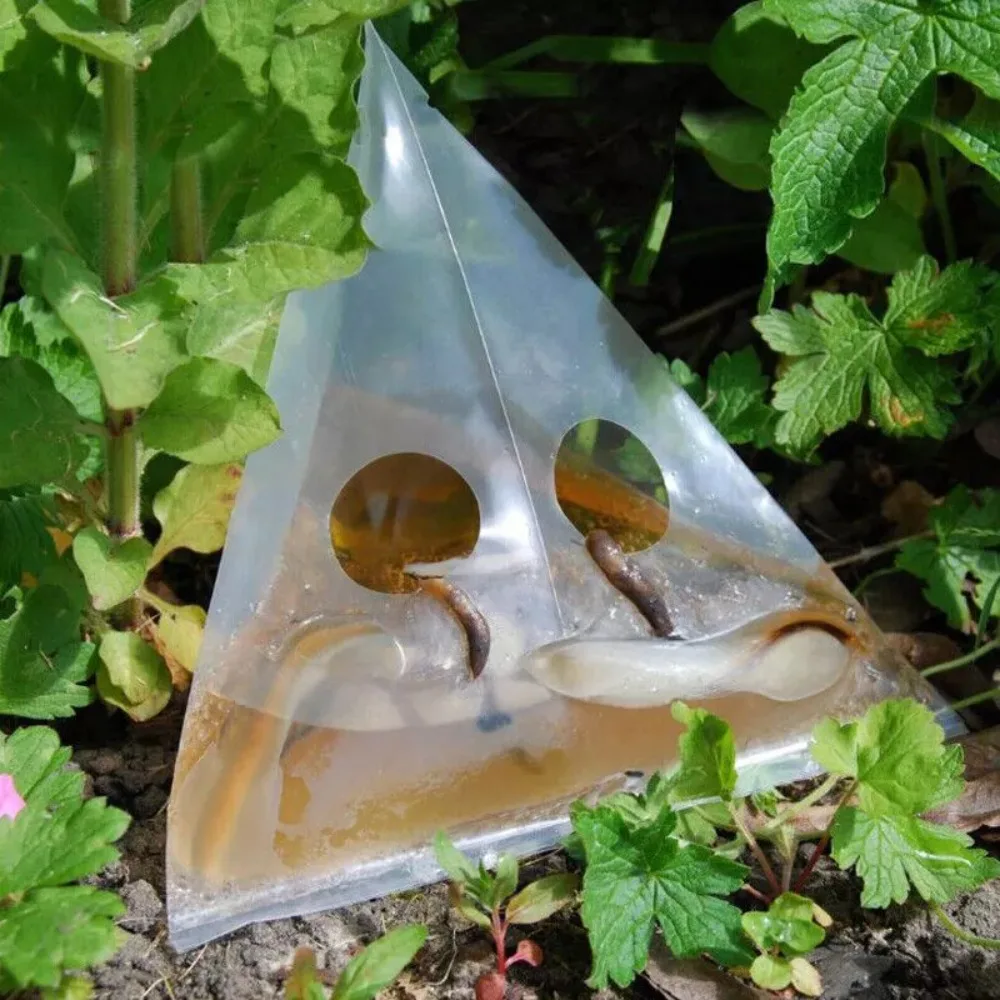 

20Pcs Disposable Slug Traps Contactless Plastic Snail Slug Trap Bag Transparent Garden Vegetable Insects Catching Tool