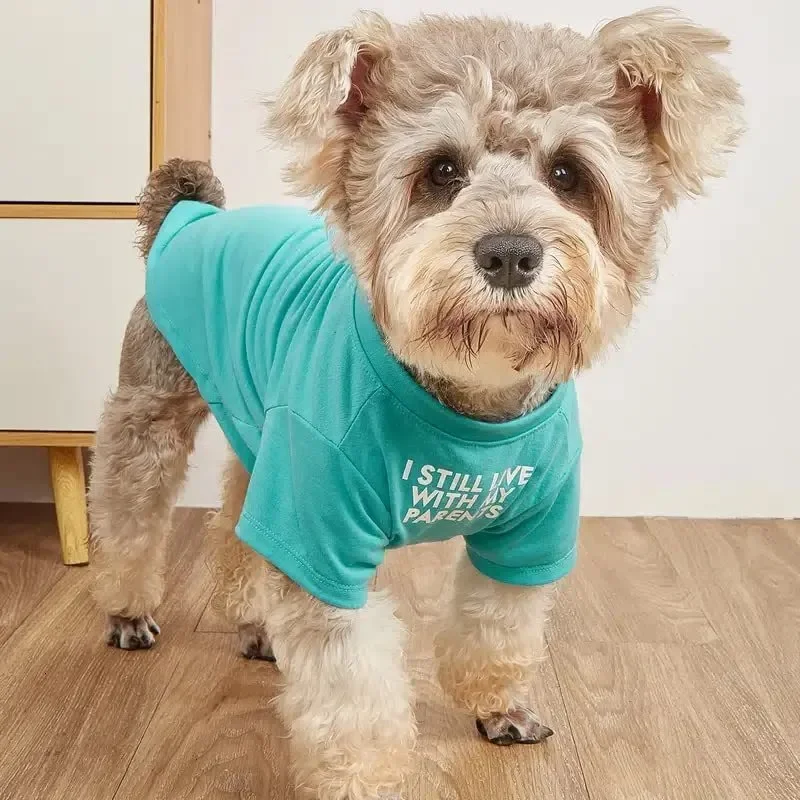 

Dog Supplies Cute Dog Clothes, A Dog T-shirt Suitable For Medium-sized Dogs. Dog Clothing Suitable For Small Dogs, Girls, Boys,