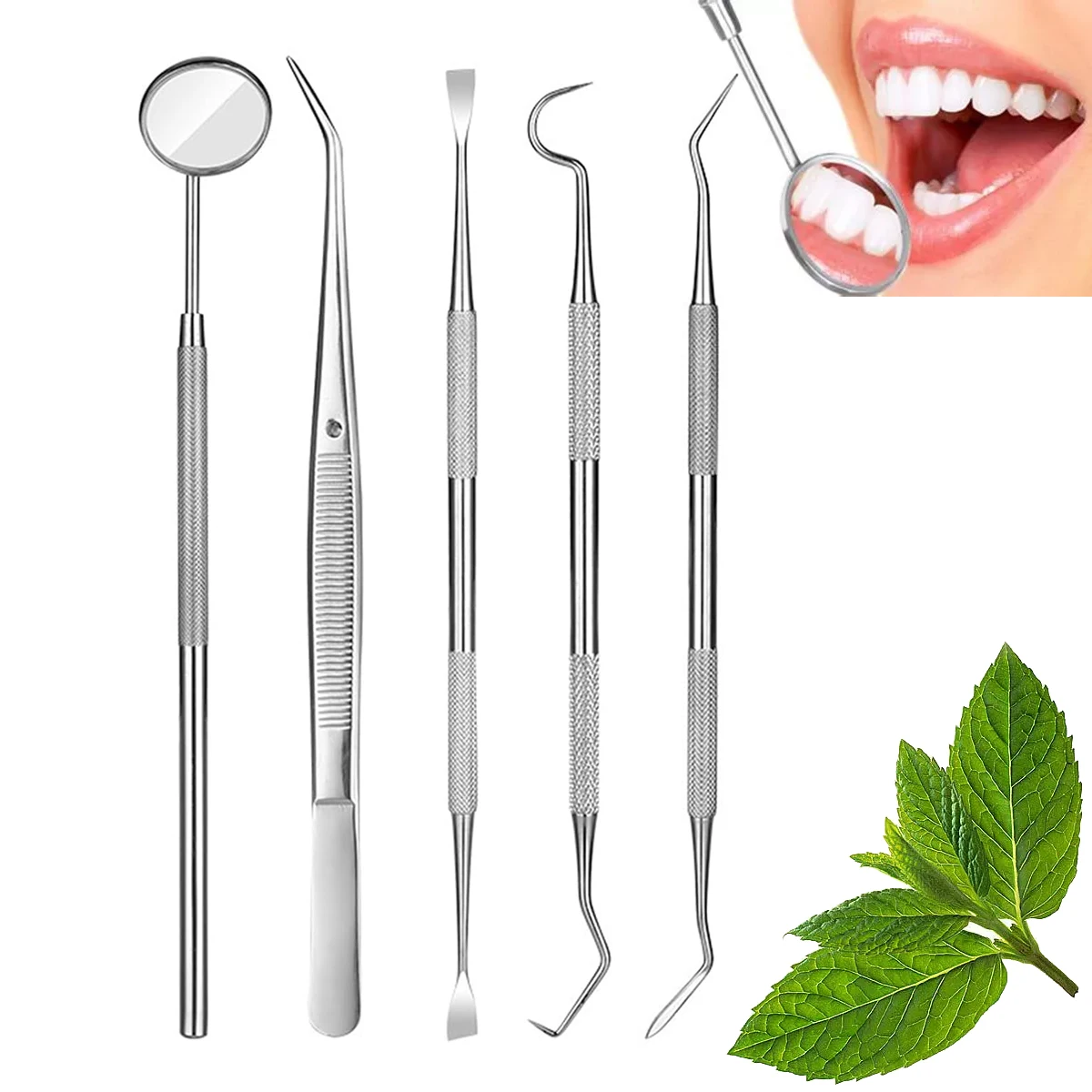 Professional Dental Pick Tools Kit Teeth Cleaning Calculus Remover Tool Personal Using Oral Care Set