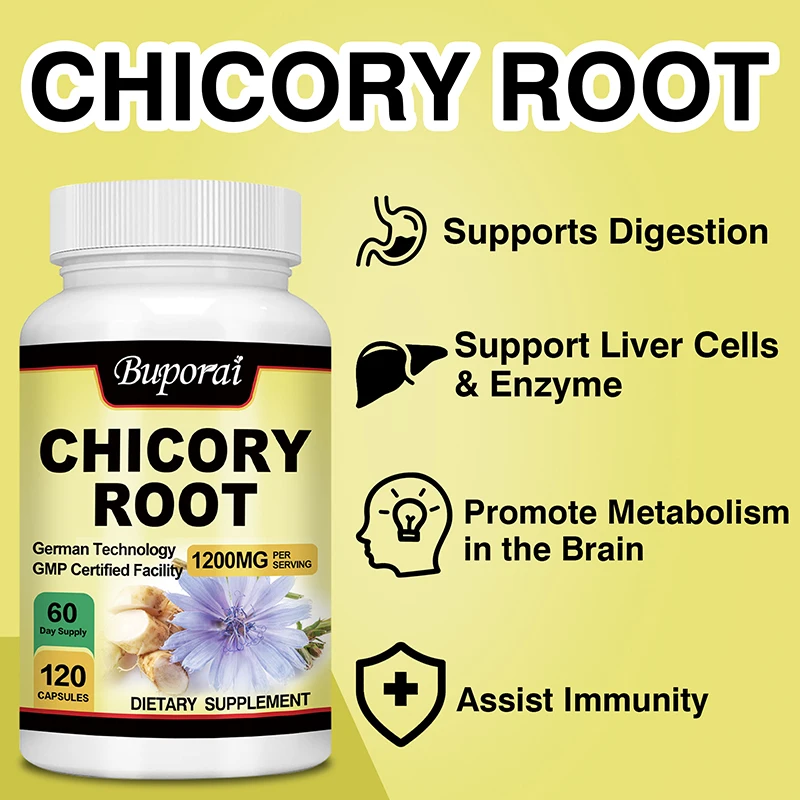 Chicory Root - Supports Gut Health and Digestive System, Increases Energy