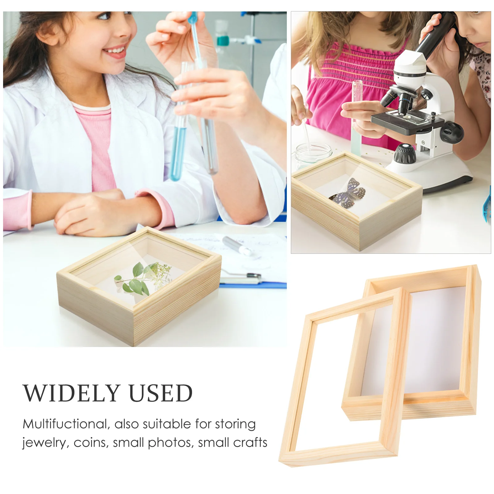 

Biological Experiment Equipment Insect Display Box Plant Cage Educaiton Tool Wooden Specimen Case Storage Jewelry Coins Crafts