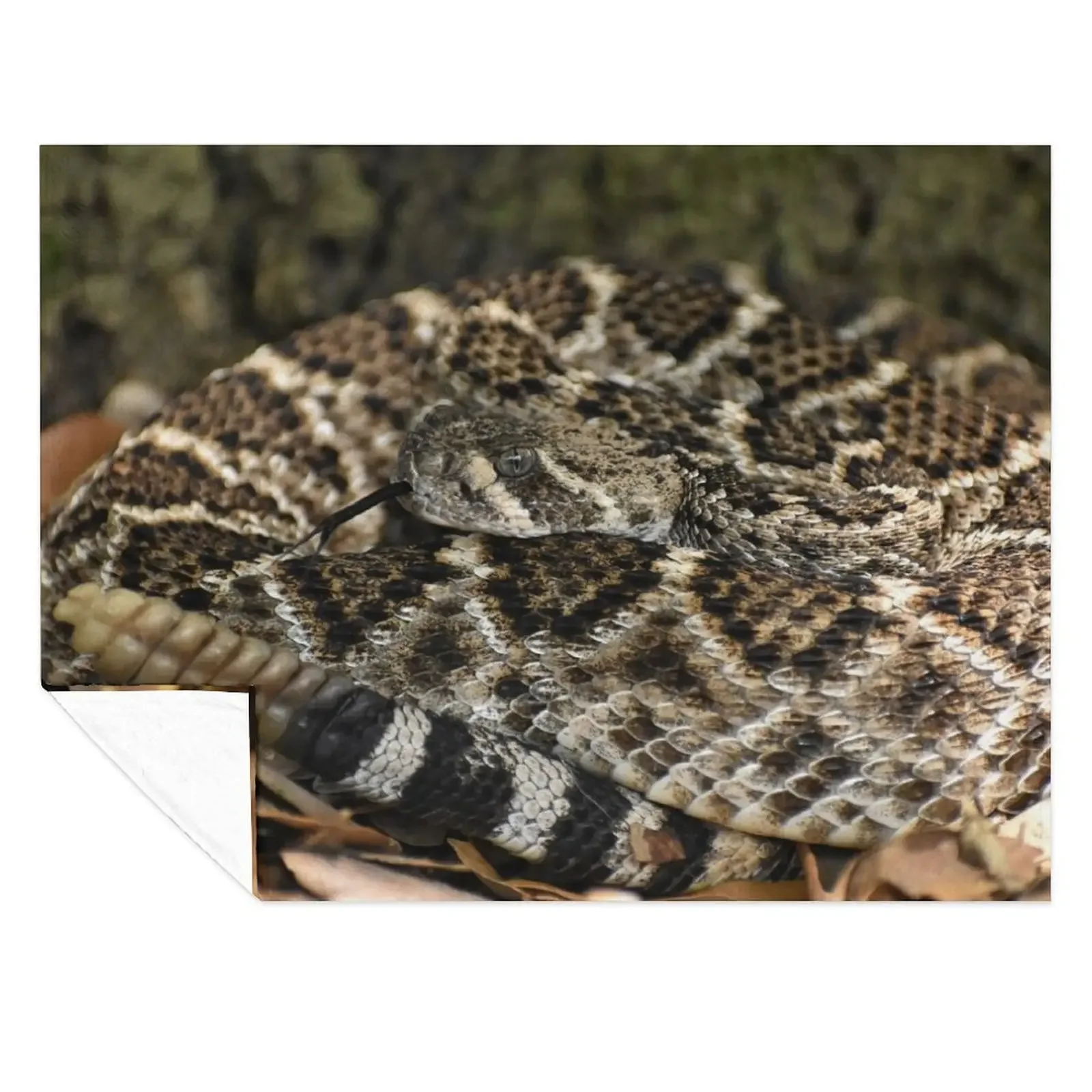 

Western Diamondback Rattlesnake Print Throw Blanket Vintage Beautifuls Luxury St cosplay anime Blankets