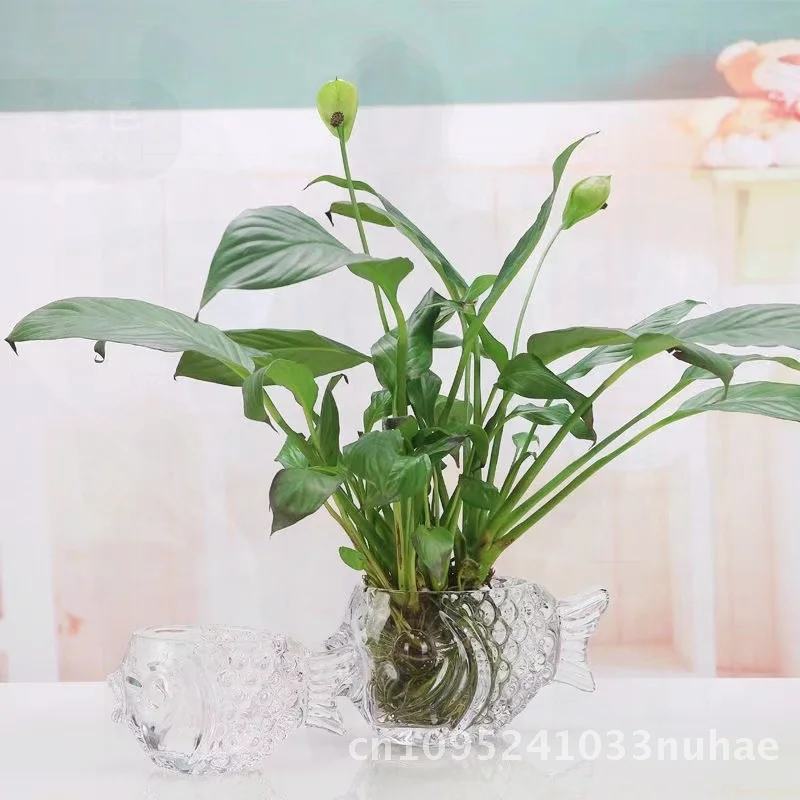 

Crystal Fish Shaped Hydroponic Glass Vase Thickened Home Decor Copper Grass Green Radish Creative Personalized Indoor Decoration