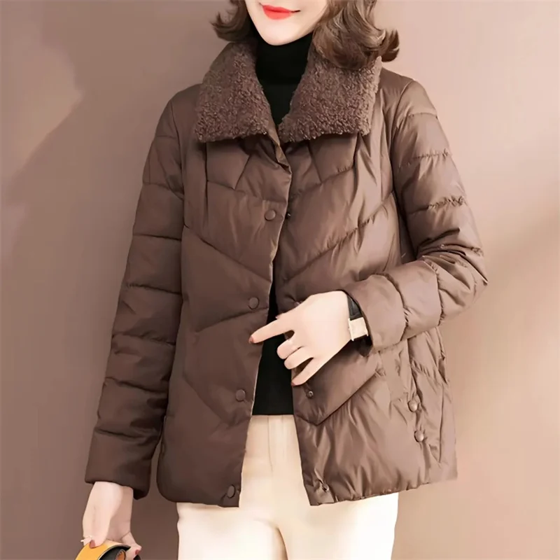 Down Cotton Jacket Women 2024 New Winter Clothes Korean Loose Small Padded Coat Female Large Size Short Lightweight Parkas