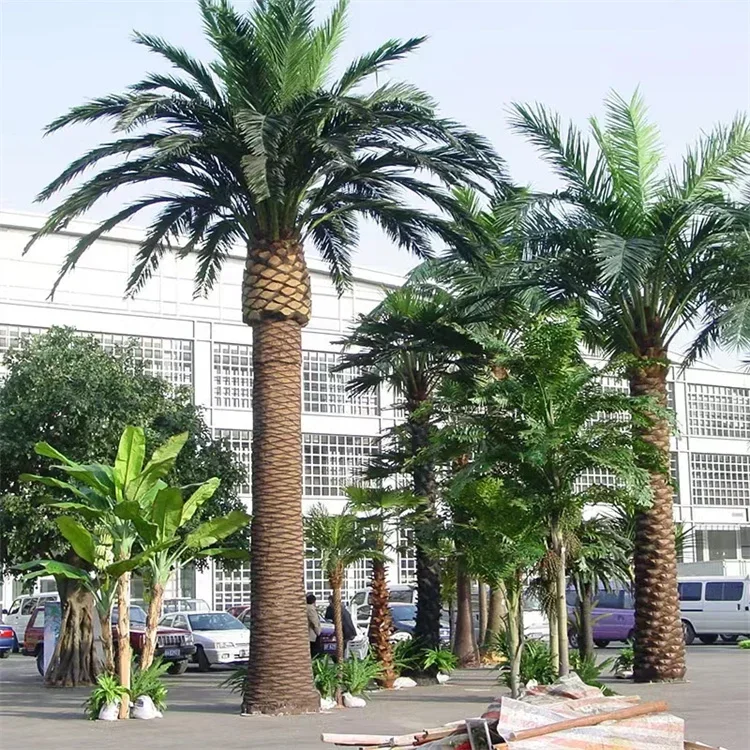 2026 Customized 3m 5m 8m Tall Large Fiberglass Plastic Artificial Coconut Canary Date Palm Tree for Home Indoor Outdoor Garden D