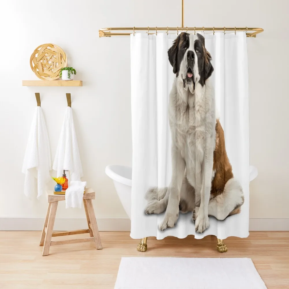 

A Patient St. Bernard Shower Curtain Bathroom Shower Shower Waterproof For Bathrooms Curtain