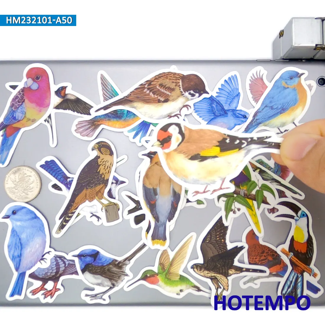鳥のステッカーセット、水彩スタイル、かわいいカラフルな羽の動物、装飾、ノートパソコン、車、電話、バイク、スクラップブック、荷物に適しています、面白いステッカーパック、20/30/50枚