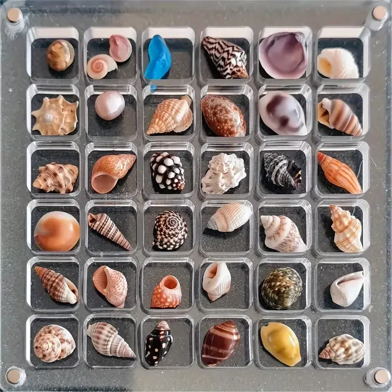 36Grids Clear Acrylic Magnetic Seashell Display Box Seashell Display Box Clear Diamond Storage Box Display Cases Container