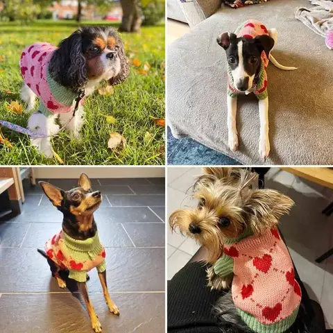 कुत्तों के गर्म स्वेटर पालतू जानवरों के कपड़े टर्टलनेक पुलओवर हार्ट पिल्ला बनियान बुनना बिल्ली स्वेटर कुत्तों की स्वेटशर्ट जैकेट पालतू जानवरों के सर्दियों के कपड़े 10 best sales कुत्ते के दिल का स्वेटर - №9