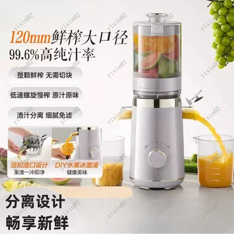 

Multifunctional Juicer Machine Large Caliber Easy Clean for Home Kitchen