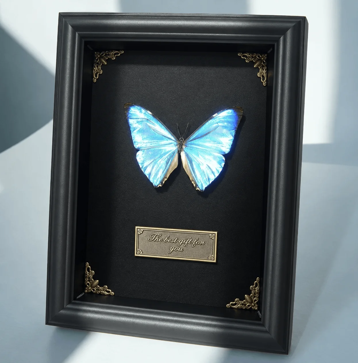 Real Morpho Zephyritis Specimen in Shadow Box, Preserved Butterfly Taxidermy, Insect Wall Art for Gothic Decor & Collector Gifts