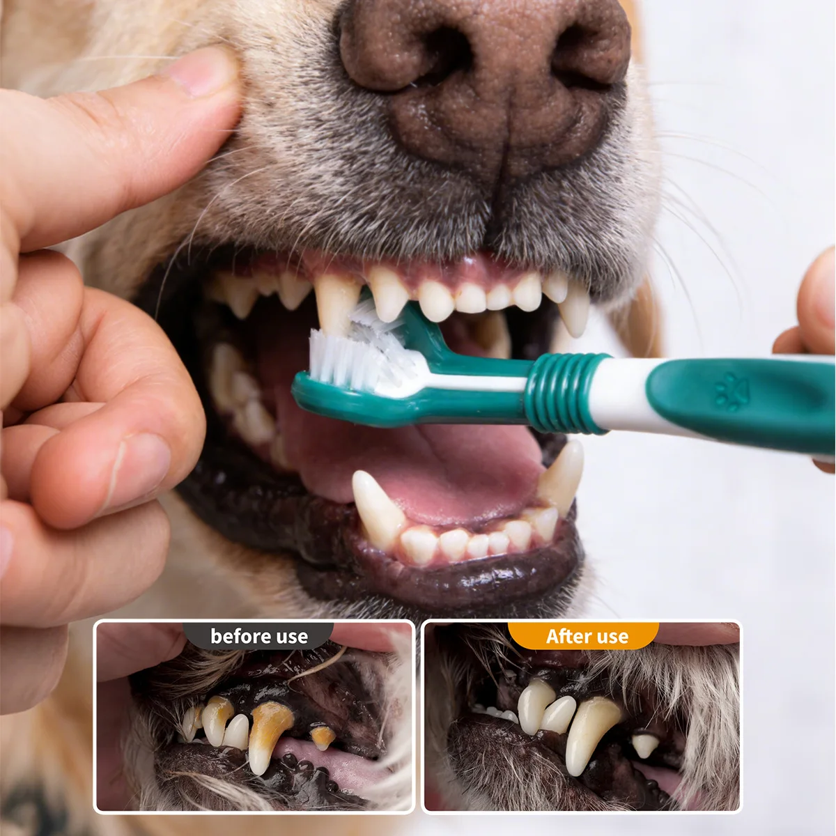 Three-Sided Pet Toothbrush 6