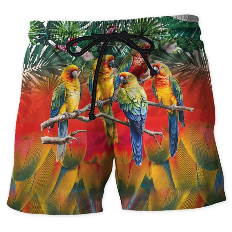 Parrot Graphic Short Pants For Men Clothes Hawaii Bird Beach Shorts Aloha Surfing Trunks Parrots Trousers Male Bermudas Trousers