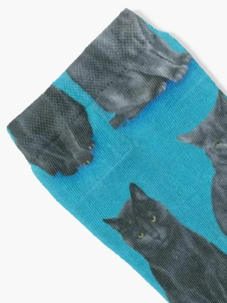 Chaussettes de dessin animé de portrait peintes à la main pour hommes et femmes, ensemble de basket-ball, deux chats impuissants, hiver