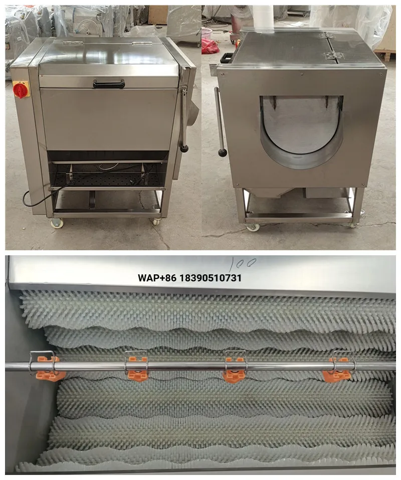 Automatic Root Vegetable Potato Carrot Brush Washing Peeling Machine With Automatic Spray Cleaning Function