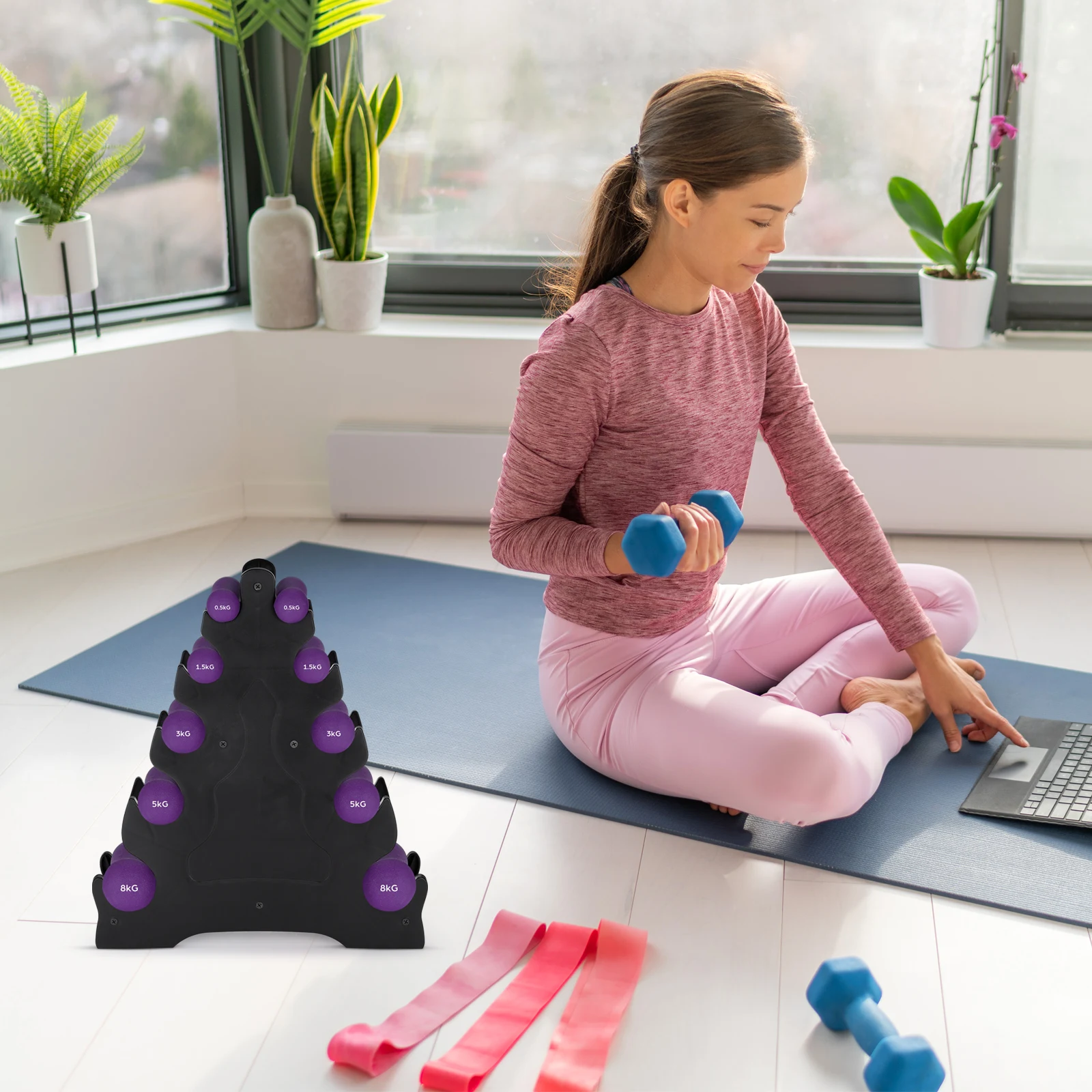 

Dumbbell Rack Dumbbells Dumbell Holder Stand Celsius Storage Weight for Home Gym Pp Support Baby Frame Design