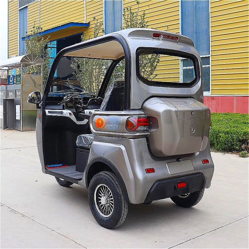 Cabin Electric Passenger Trike 48V 1000W 3 Seater Full Enclosure for Weather Protected Transport Customized High Quality