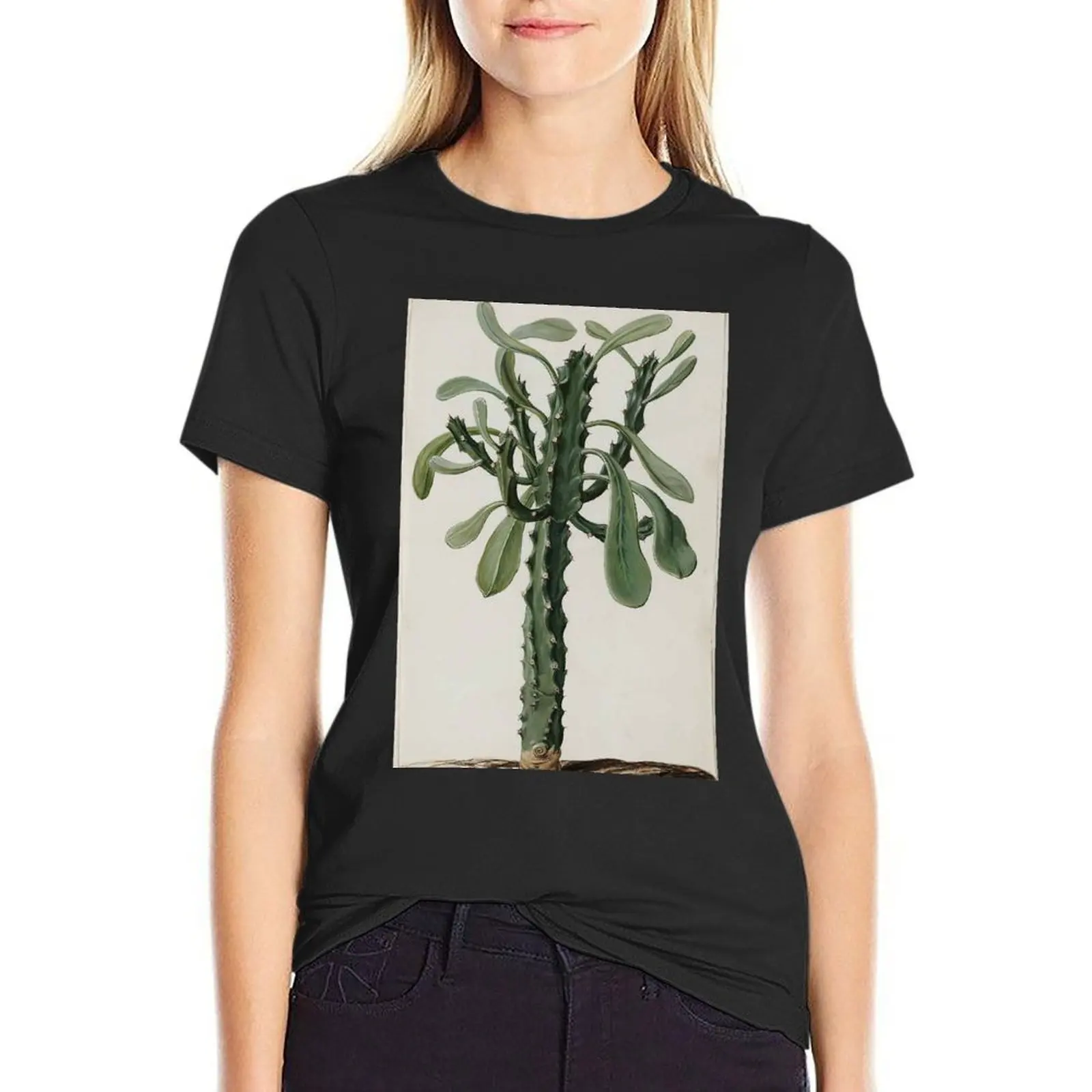 Euphorbia by Jan Moninckx T-Shirt summer top anime clothes funny graphics luxury designer clothing Women