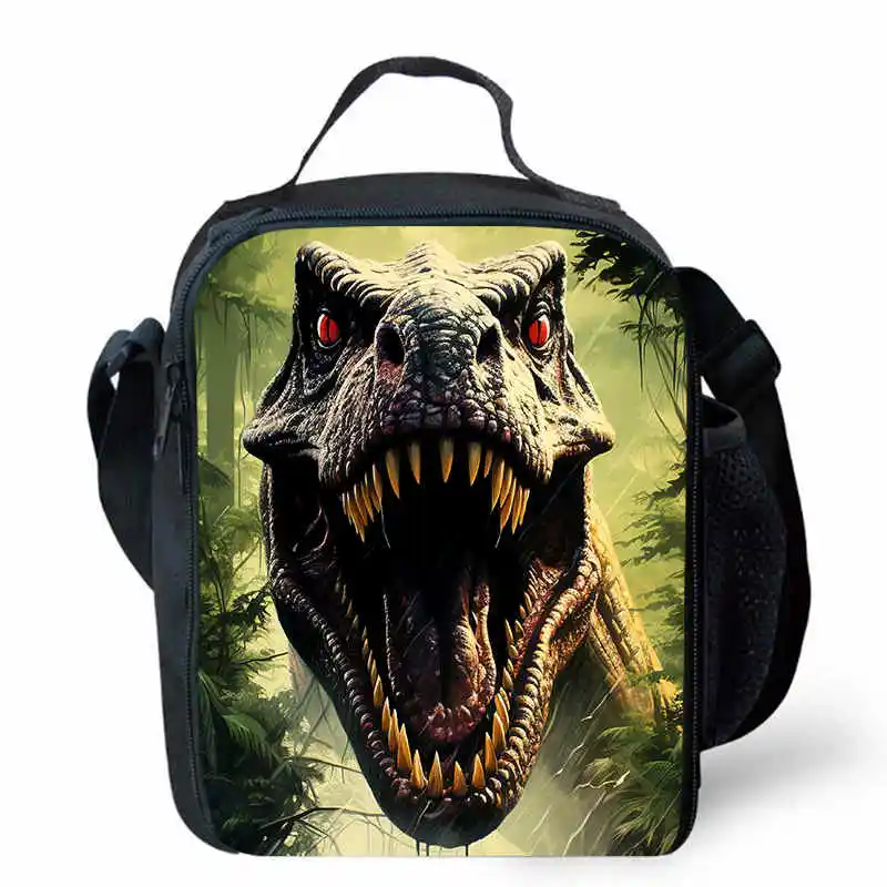 

Cars Lunch bags for Child,Cartoon Dinosaur School Picnic Bags for Girls Boys,Kids Insulation Cooler Bags for Aged 4-10 years