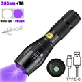 T6 UV365nm