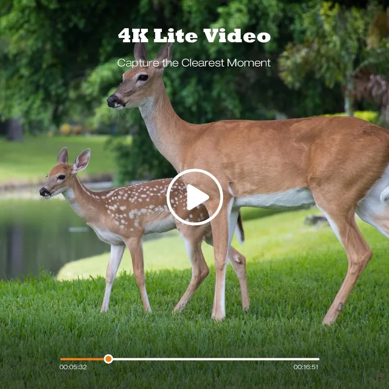 Thumbnail 3 - #69 Compare Trail Cameras Before You Buy