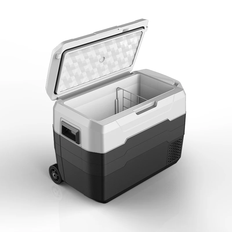High Quality Durable Using Various ALG-40,50 Mobile Cold Chain Car Refrigerator Car Refrigerator with Compressor
