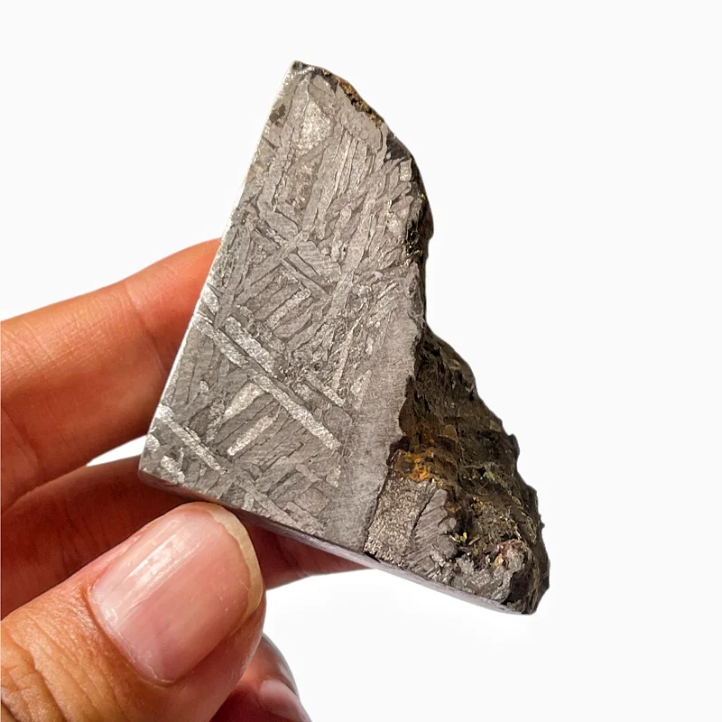93.3g Rare Muonionalusta Meteorite Slice Museum Quality Cosmic Specimen TC782