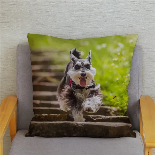 Home Bedroom Pillowcase Cute Schnauzer Print Cushion Cover    Decor