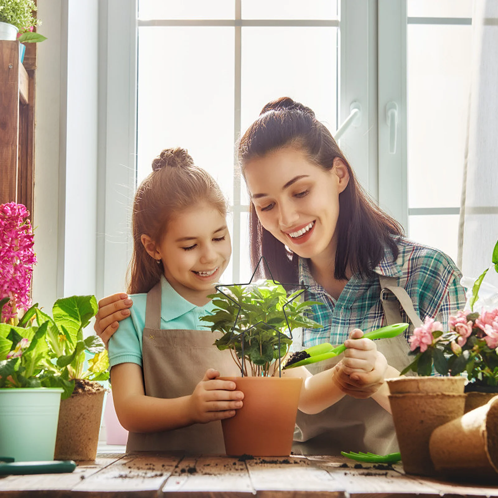 

2Pcs Five-Pointed Star and Moon Shaped Plant Climbing Support Sturdy Reusable Metal Rack for Vines Morning Glory Honeysuckle