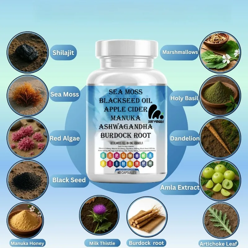 El complejo de algas marinas contiene aceite de semilla negra Shilajit、 Moringa, cúrcuma, bardana, vitaminas, clorofila, jengibre -60 cápsulas
