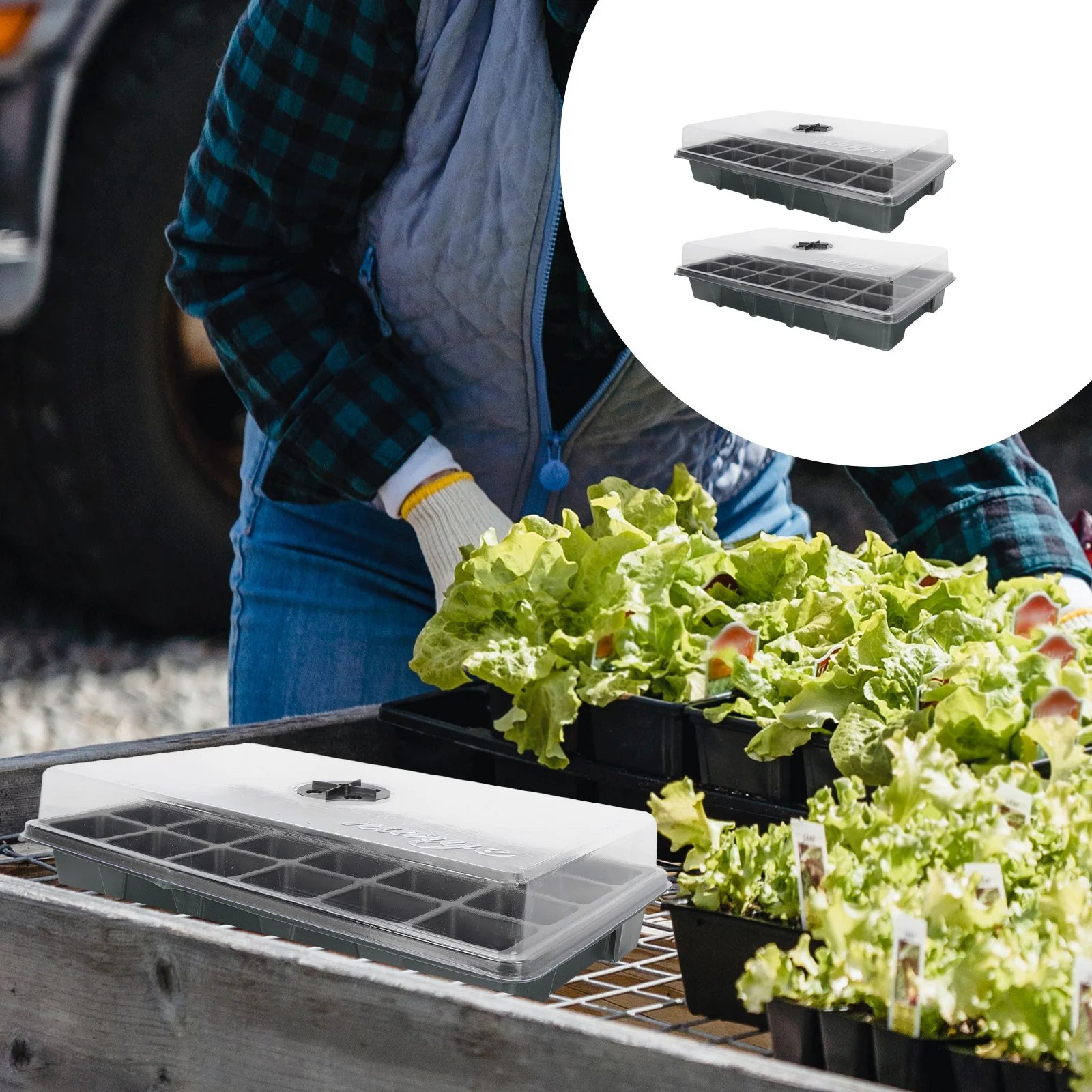 

2 Pcs 24-Hole Seedling Tray Plants Gardening Germination Case Flowers Planting Tool Plastic Starter Supplies