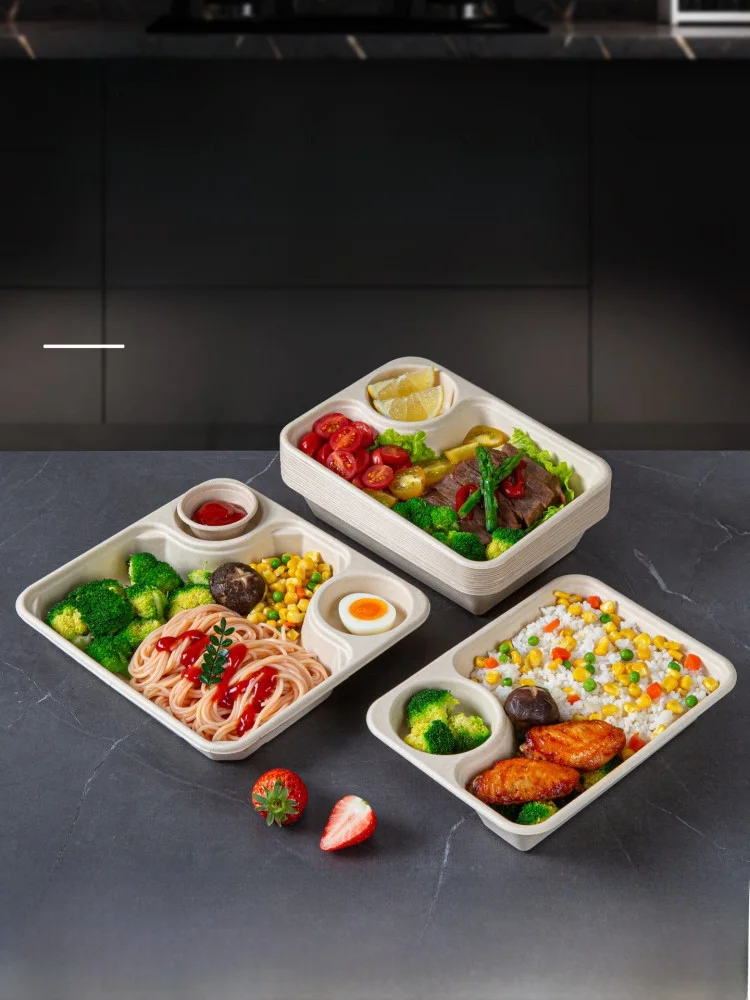

Biodeadable Rectangular Takeout Box with Lid for Salad Lightweight Fitn very Box Inteated Sauce Pulp Paaging Box