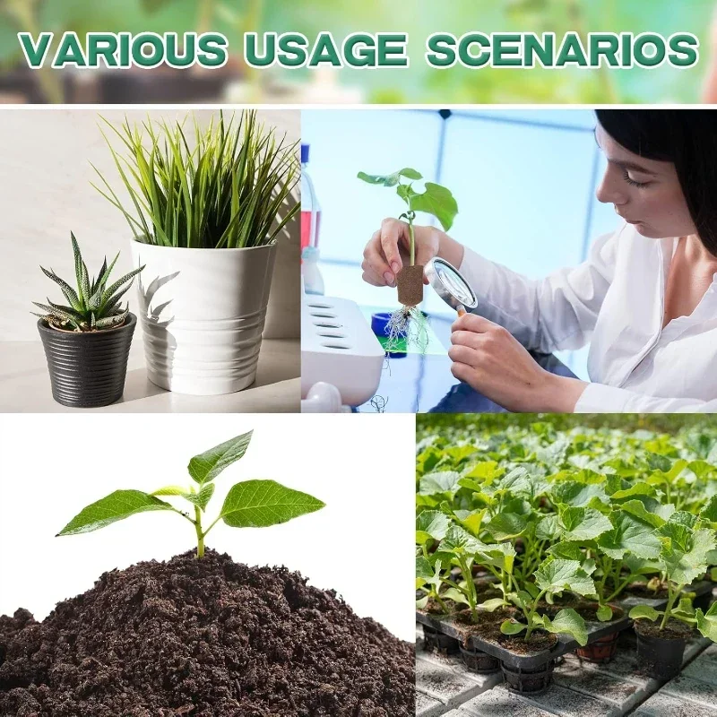 20pc/40pc Hydroponic Sponge Growth Kit for Plant Cloning And Growth Organic Pod Development Sponge Plugs Included